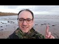 How to Photograph Wading Birds on the Beach - Coping with Bright Sun!