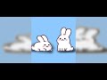 •~funny bunny rabbits~• a song by me