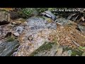 The soothing sound of a river to calm the mind | 3 hours nature sound for  sleep,relax and focus