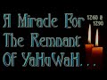 A MIRACLE FOR THE REMNANT OF YAHUWAH