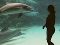 Girl Makes Dolphin Laugh (EXTENDED) ORIGINAL VIDEO