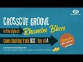 Crosscut Groove Rhumba blues backing track in A | Albert King vibes!