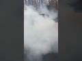 1998 Nissan Frontier burn out