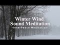 [Playlist] Winter Wind Sound Meditation | For Sleep, InnerPeace