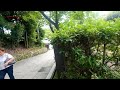 jalan jalan keliling kuil buda di Nara jepang