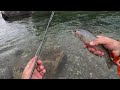 Fly Fishing the incredible Bob Marshall Wilderness.