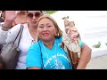 En video: Fieles participaron masivamente en procesión de la Virgen del Carmen