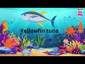 Amazing Sea Animals Names for Kids| Meet the Ocean Creatures: Sea Animal Video#oceananimals