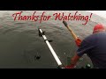 Fishing Sitka Alaska Day 2 Kingfisher Charters Halibut, Lingcod & Coho