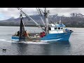 WoW !! Fishing Boat Catch a Lot of Fish - Big Catch !