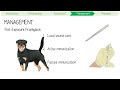 Understanding Rabies with Mnemonics