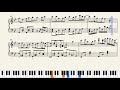 [東方] Dr. LFR: The Naturalis Historia of the Childlike Duo (Piano Arrangement)