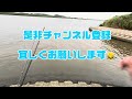 〔千葉県利根川〕シーバス釣行IN利根川