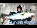 第120話【煙樹ヶ浜】和歌山に回ってきてるというサゴシを狙って2月の煙樹ヶ浜を攻める!の巻