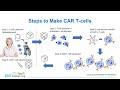 CAR T-cell Therapy: Lymphoma - The Good, The Bad, The Exciting