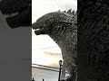Shin Godzilla vs Legendary Godzilla/ #shorts