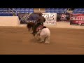 Titan's 2018 Cactus Reining Classic Open Derby Run