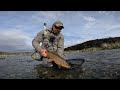 END OF SEASON FISHING for STUNNING BROWN TROUT