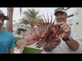 How Florida is handling invasive lionfish