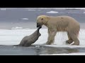 ONE HOUR Of Amazing Ocean Moments | BBC Earth