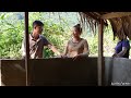 Mai found land to build a new life after the disaster - Journey to safety | Lý Mai Farmer