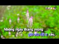 Karaoke Hãy Quên Anh Tone Nam Nhạc Sống | Nguyễn Linh