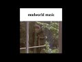 madworld music