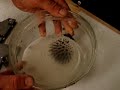 Ferrofluid video