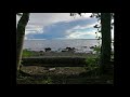 Nature Soundscape - By The Lake - 40 minutes