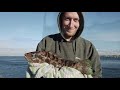 Fishing Holyhead Breakwater with baited lures.