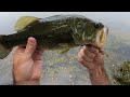 Largemouth Bass Caught in the Rain