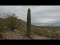 Mores Film 2024-02-06 😍🌵ARIZONA🌵🥰👍