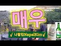 🎷나팔킴 색소폰연주 모음(9집) 🌜구독,좋아요🌛 Saxophone cover by NapalKim🎧듣기추천