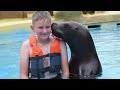 A Great Thing To Do In Lanzarote | Swimming With Sealions 🦭 at Rancho Texas Lanzarote