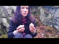 Baking Blueberry Pie in a Swedish Forest