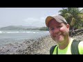 Caribbean Shell HAUL - CONCHS, HELMETS and TRITONS!