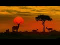 John Barry - Out of Africa (Extended Remix)