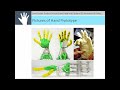 Low-Friction 12-DOF Tendon-Driven Robot Hand