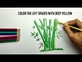 How to Draw a Bamboo Tree I Bamboo Tree Drawing Tutorial