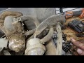 John Deere 345 seized engine teardown!