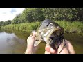 Wade Fishing River Smallies