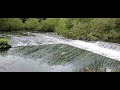 Amazing Birds - coot builds a nest on a dam!!