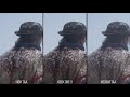 Red Dead Redemption 2 PC: Every Graphics Setting Tested + Xbox One X Comparison