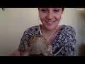 Bearded Dragon Comes Running When His Mom Calls Him | The Dodo Soulmates