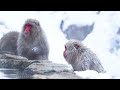 Japan 4K - Scenic Relaxation Film With Calming Music