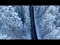 Winter Forest 4K Ultra HD • Stunning Footage Forest, Scenic Relaxation Film with Calming Music.