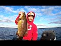 Lipless Hard Crankbait and Glide Bait Fishing on Clear Lake, CA