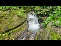 Relaxing Small Waterfall in the Mossy Forest | White Noise Water Sounds for Stress Relief, Sleeping