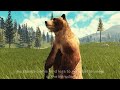 Yellowstone Unleashed Roblox Bear