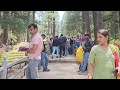 Best Hotel In Manali || Budget Hotel In Manali || Top 5 Famous Place In Manali